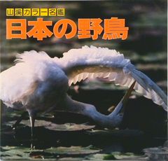 【中古】 新編古典探究 古探 701 テキスト テキスト テキスト 古探701】新編古典探究 文部科学省検定済教科書 高校国語科用