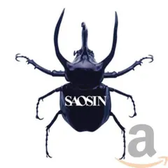 SAOSIN レコード　S/T カブトムシ　スクリーモ　メタルコア 2025年最新】Saosinの人気アイテム - メルカリ