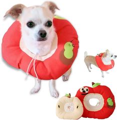 Item thumbnail for item c9a45802-3133-45ab-86a8-f25067f72fe0