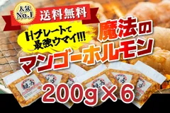 新製品 750✕550 鉄板焼グリドル 3辺フチ 持ち手付 送料無料