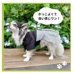 犬服 【薄手 袴】肉球マーク 小型犬用 晴れ着 男の子 着物 安い 結婚式 七五三 正月 年賀状 和装 犬 猫服 フォーマル 干支 ペット グッズ 着物風 正装風 洋服 チワワ トイプードル ダックス シュナウザーなど 犬の服 ペット