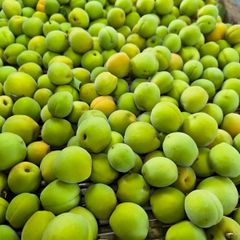 ティエラ様　クール便　青梅　甲州小梅　50kg 本日最終出品1箱のみ！「紅豊後小梅」2キロ+@◇クール便◇岩手県