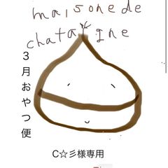 C☆彡様専用　おやつ便　シフォンケーキサンド　チーズケーキ　テリーヌ