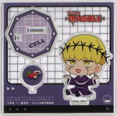 2026年最新】マッシュル ほしがりさんの人気アイテム - メルカリ