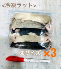 個包装 冷凍ラット 200匹セット 100~130g 爬虫類のエサ 冷凍ラット 100～119g 10匹 - ZOOE