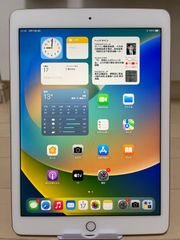 sn410761様専用【良品】Apple iPad Pro(第1世代) Wi-Fiモデル 32GB ローズゴールド