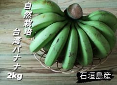 石垣島産　台湾バナナ(自然栽培) 2kg
