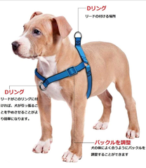 犬 ハーネス 胴輪 調節可能 小型犬 中型犬 大型犬 ドッグ ペット用品 ハーネスリード 簡単着脱 引っ張り防止 お散歩お出かけ 訓練 ナイロン製 (S)