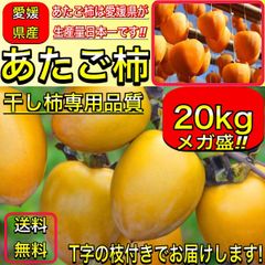 あたご柿 (愛宕柿) 愛媛県 丹原産 約 20kg 大玉（L～３Lサイズ混合）