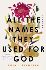 All the Names They Used for God: Stories [Hardcover] Sachdeva  Anjali