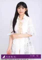 2025年最新】乃木坂 歩道橋 封入生写真の人気アイテム - メルカリ