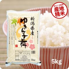 米 ゆきん子舞5kg お米 令和5年産 白米