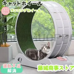 2025年最新】ネコ用回し車の人気アイテム - メルカリ