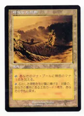 Wizards OF THE COAST オデッセイ ODY 【日】石化した原野/Petrified Field 土地R