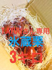 茨城県【笠間産】氷蔵栗　3kg