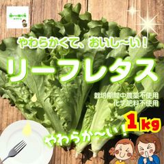 【クールメルカリ便】☆農薬や化学肥料は使用しておりません　やわらか〜い！リーフレタス　埼玉県産　約１kg