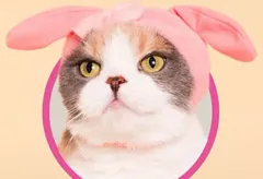 【中古】小物(キャラクター) マイメロディ 「かわいい かわいい ねこのかぶりもの サンリオキャラクターズ」