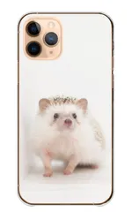 arrows NX9 F-52A ケース カバー アローズNX9 スマホケース ハードケース ハリネズミ はりねずみ 針鼠 動物 写真 アニマル かわいい 可愛い おしゃれ カラー01