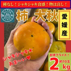2025年最新】太秋柿の人気アイテム - メルカリ