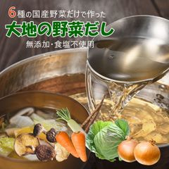 【セール開催中！】大地の生菓 無添加 国産野菜6種類 粉末だしパック 大地の野菜だし 30袋入り 食塩 化学調味料 保存料 不使用 自然派 天然素材 福岡で製造
