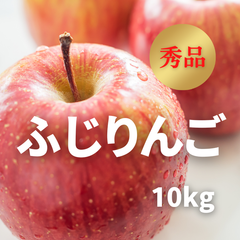 りんご　ふじりんご　秀品　20～36玉　10kg