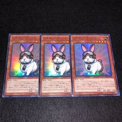 安いレスキューラビット モンスターの通販商品を比較 | ショッピング 