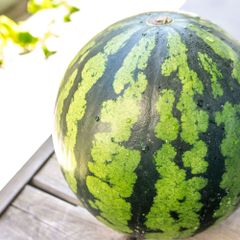 秋田県産 あきた夏丸 すいか 3Lサイズ 8〜9kg 大玉2玉入り - メルカリ