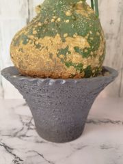 terry様　専用ページ　高級陶器鉢 　元値8750円　割引