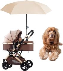 Item thumbnail for item 82c830a8-20e2-431b-8eb8-769cd60ce443