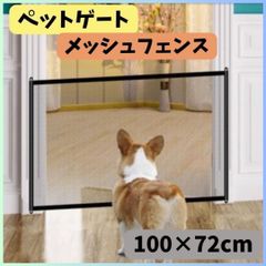 Item thumbnail for item 8c41b20a-81a4-46fe-a754-511188591974