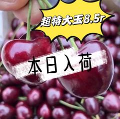 超〜特大玉8.5r アメリカンチェリー　チェリー　さくらんぼ　车厘子 1kg