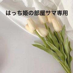 はっち姫の部屋サマ専用