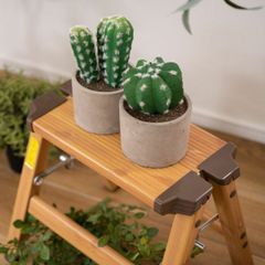 Item thumbnail for item 51d23c6f-3010-4c7b-bdfb-f6c43765a51b