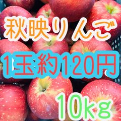 激安！今が旬！　長野県産秋映りんご約10kg リンゴ　Apple 林檎