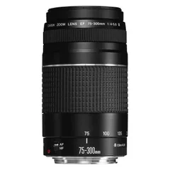 2023年最新】EF75-300mm F4-5.6 IIIの人気アイテム - メルカリ