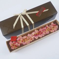 【限定‼】アーモンドクランチルビーチョコガトーショコラとチョコBOX2箱のセット