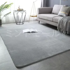 新しい未使用 ラグ アウトレット 数量限定 滑り止め付 防ダニ加工 ホットカーペット対応 床暖房対応 夏 冬 マット ラグマット 絨毯 リビン
