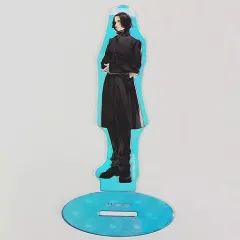 【中古】アクリルスタンド・アクリルパネル セブルス・スネイプ 「ハリー・ポッター アクリルスタンドコレクション(オーロラ)」
