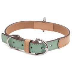犬の首輪】ミントグリーン x ベージュ (バイカラー) ティファニー
