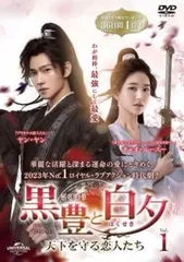 中国ドラマ「プラチナの恋人たち」 DVD 全巻セット 華流 レンタル落ち プラチナの恋人たち DVD-SET3