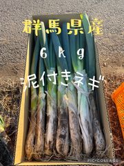 泥付き極太ネギ！甘みたっぷりの高品質ネギ　6kg　2L 3Lセット 25本入り