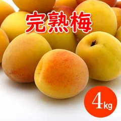 【クール便】高知産　完熟梅　L～Mサイズ　約4㎏のサムネイル