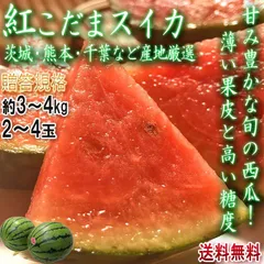 紅こだま西瓜 小玉スイカ 約3～4kg 2～4玉 贈答規格 産地厳選 旬の産地で育てた抜群の味と甘さ！全国より厳選した人気品種のすいかをお届け