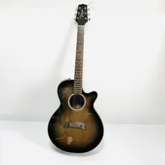 2023年最新】takamine pt106の人気アイテム - メルカリ