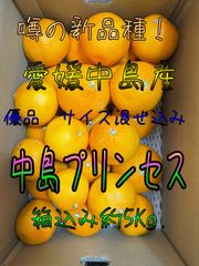 【貯蔵完熟】　中島プリンセス　箱込み約5Kg.