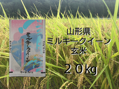 玄米 山形県産ミルキークイーン20kg(5kg×4袋)