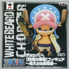 【美品】目指せ海賊！チョッパー 12体コンプリート+なりきりモリア計13体セット 美品】目指せ海賊！チョッパー 12体コンプリート+なりきりモリア