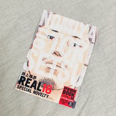 非売品】リアル 16巻 特典 小冊子 野宮朋美BOOK スペシャル