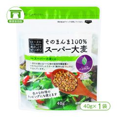 「スーパー大麦［バーリーマックス］」そのまんま100%スーパー大麦（40g×1袋）