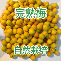 0406【珍湯】橙高梅 3kg Lサイズ(2L混ざります)キルトパッチ梅店